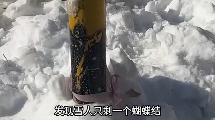 千万不要踢路边的雪人#内容过于真实 #万万没想到 #搞笑