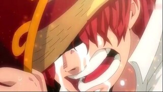 Vì Shanks Bắt Luffy Phải Chia Tay - Top 7 Người Shanks Yêu Thương Nhất#1.3