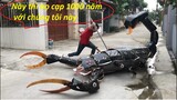 BỌ CẠP CỤ 1000 TUỔI XUẤT HIỆN NGOÀI ĐỜI THẬT SẼ RA SAO