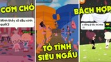 PLAY TOGETHER | NHỮNG VIDEO HÀI HƯỚC LẦY LỘI  VÀ ĐÁNG YÊU #33 | TIKTOK PLAY TOGETHER