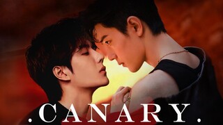 Bo Jun Yi Xiao CEO He Mistakenly Admitted Canary Episode 14 CEO Top × Teacher Bo