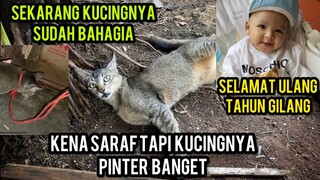 Keadaan Kucing Yang Di Ikat Tambang Sebelum Hidup Di Basecamp Cats Lovers Tv..!