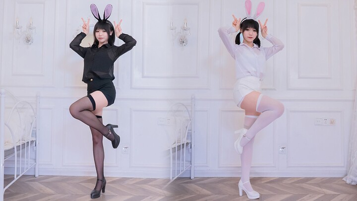 Màn hình dọc HD 4K! Bạn thích thỏ đen hay thỏ trắng?