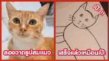 ลองวาดรูปสมแมว วาดเสร็จแล้ว เหมือนเป๊ะ !! ( รวมฮาพากย์ไทย )