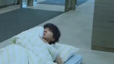 StrayKids Xu Zhangbin-babi dan kelinci yang dirugikan yang ditipu oleh seekor anjing dan tidur di lo