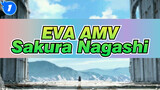 [EVA AMV] Sakura Nagashi_1