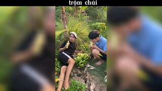 câu chuyện về phi vụ chôm chúi