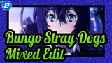 [Bungo Stray Dogs/Mixed Edit Of Female Characters] Mixed Edit Of All Female Characters_2