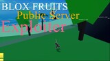 Stupid Idiot Exploits In a Blox Fruits Public Server