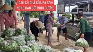 Bà con nông dân Miền Tây (An Giang) gởi củ quả cho Bình Dương