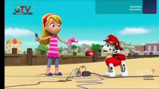 Paw patrol musim 5 Episode 17 dan 18 Bahasa indonesia Global tv