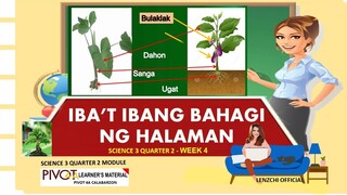 SCIENCE 3| IBA’T IBANG BAHAGI NG HALAMAN | Q 2- WEEK 4|PIVOT- MELC-BASED