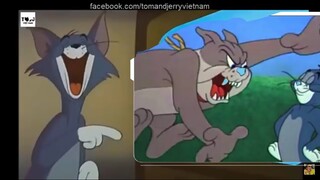 KHI MÈO CHỌC CHÓ VÀ CÁI CHẾT(TOM AND JERRY CHẾ BY NUPAVN