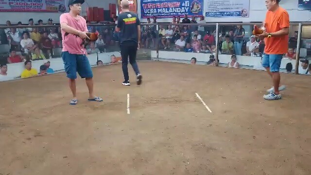 1st fight win @vcsa 2hits ulutan, 🤙