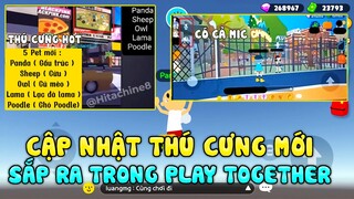 PLAY TOGETHER | CẬP NHẬT THÚ CƯNG MỚI SẮP RA TRONG PLAY TOGETHER