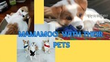 MAMAMOO WITH THEIR PETS