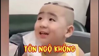 Xem xong chỉ việc cười 😂 - Phần 42 KTLN 24h |Funny Videos