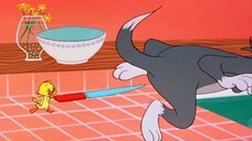 Tom and Jerry | Buddies and Lifes Compilation