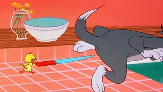 Tom and Jerry | Buddies and Lifes Compilation