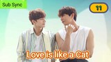 🇰🇷 [2024] LOVE IS LIKE A CAT | EPISODE 11