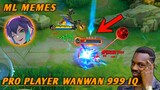 Pro Player Wanwan 999 IQ WTF..... ML MEMES