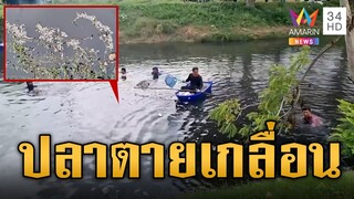 หมอคางดำก็ไม่รอด! วัยรุ่นมือบอนวางยาพิษทำปลาตายเกลื่อน  | ข่าวอรุณอมรินทร์ | 1/8/67