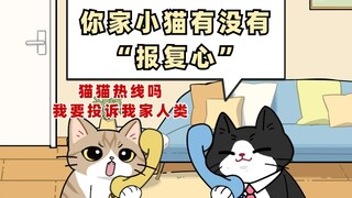 你家小猫平常会报复你吗？