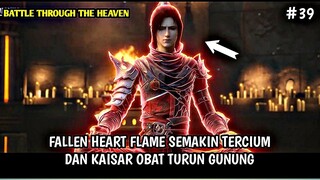 Untuk Mendapatkan Api Fallen Heart Flame Xiaoyan Berjibaku dengan Kaisar Obat! BTTH