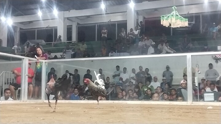 mismong may palaro nakalaban ng tinola line ko