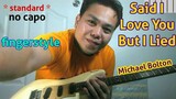 Said I Love You But I Lied Fingerstyle Guitar Cover