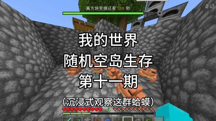 【我的世界】随机空岛生存，第十一期蛤蟆大战凋零风暴