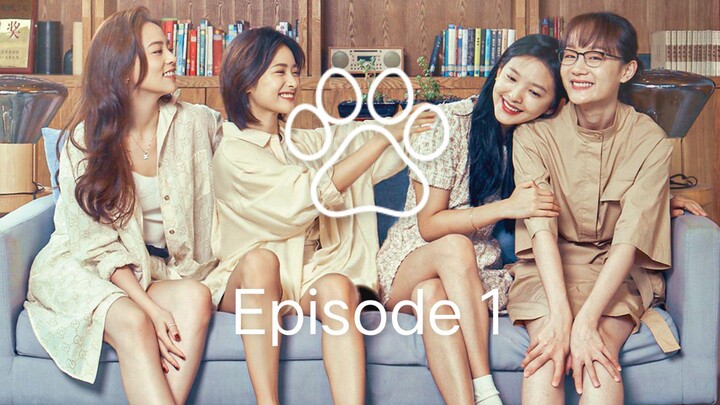 Be yourself Episode 1 ||  C-drama (english subbed)