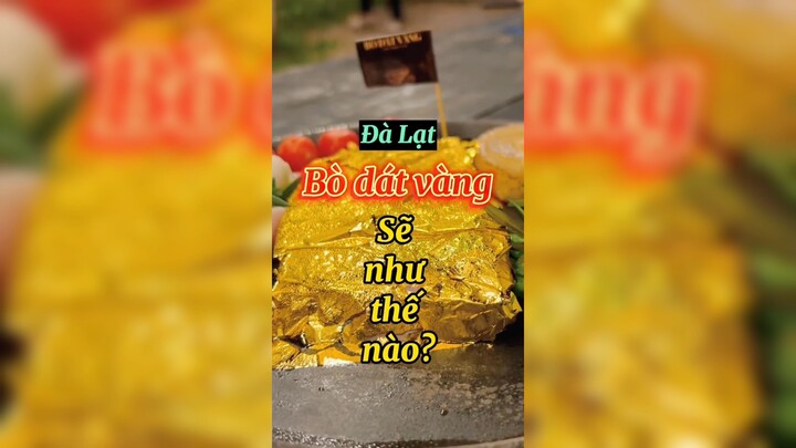 Bò dát vàng sẽ như nào?