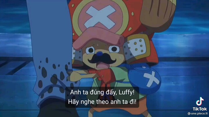 Dễ thương á tròi