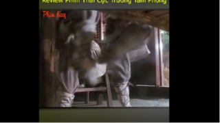 Review phim thái cực trương tam phong