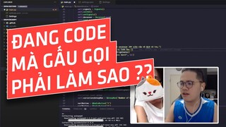 Năm cách lươn lẹo siêu hiệu quả khi đang code/chơi game mà bị gấu làm phiền!