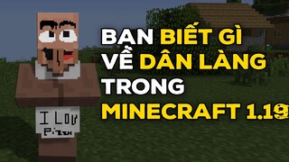 Những Điều Chắc Chắn Bạn Chưa Biết Về Dân Làng Trong Minecraft 1.19