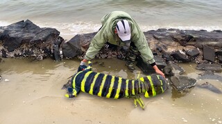 [Kumpulan Olahraga] A-Cong tangkap ikan dan menemui spesies baru
