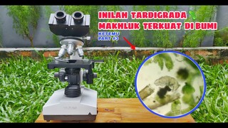 TARDIGRADA / BERUANG AIR.. Makhluk yang bisa dijumpai bahkan di BULAN Sekalipun (part #3)