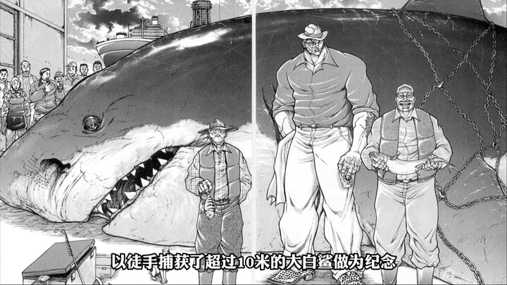 花山熏高中毕业出海旅行，没想到游泳遇到了大白鲨！
