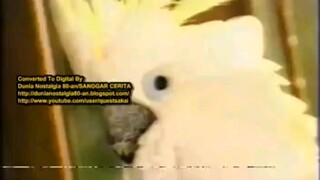 jeda iklan sctv (2000)