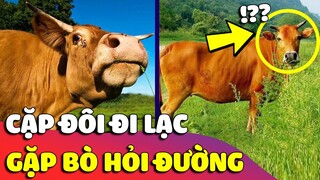 Từ quê lên Hà Nội nhưng quên đường, 2 bạn trẻ có màn 'HỎI ĐƯỜNG' khiến dân mạng KHÓC THÉT 😎 Gâu Đần