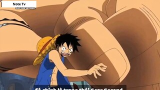 Top 7 Trái Paramecia Phòng Thủ Cực Mạnh Trong One Piece #2- 2