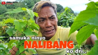 SIGE PAMAN UG LALIS, KAHIBAW NAAY NALIBANG