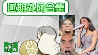 【梗百科】粉丝尖叫？柠檬米字脸？近期外网热梗来咯！？