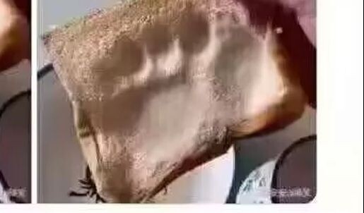 If you don't want to eat the bread that your wife stepped on, please put it in my mouth - Internet h