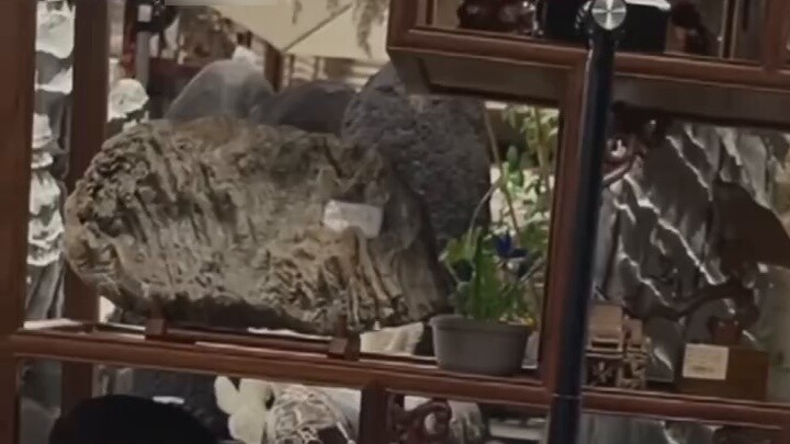 "The owner collects stones at home" The owner collected several tons of stones at home, directly cru