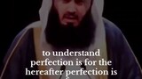 Mufti Menk