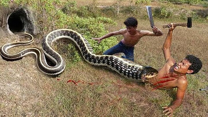 Easy Snake Trap - Build Underground Python Trap Make From PVC | New Technique Of Snake Trap