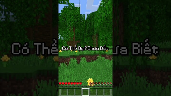 Có Thể Bạn Chưa Biết Phần 5 #minecraft #shorts